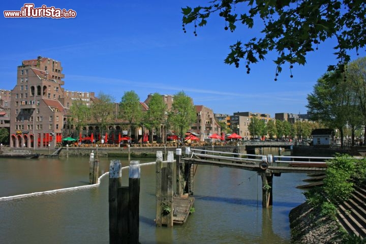 Immagine La vecchia baia del porto di Rotterdam in Olanda - © Styve Reineck / Shutterstock.com