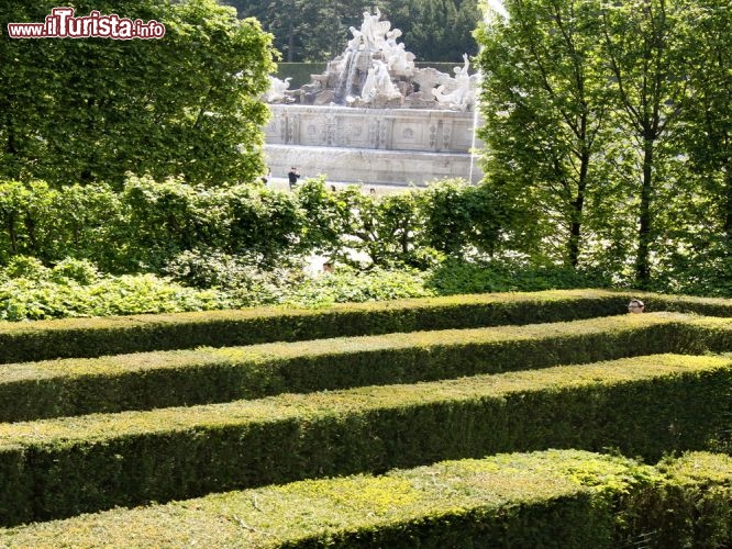 Immagine Il labirinto del giardino nascosto del Castello di  Schonbrunn a Vienna - © Dafinka / Shutterstock.com