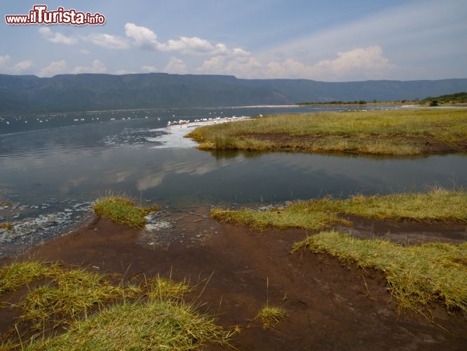 Immagine Il Lago Bogoria è uno dei grandi bacini lacustri della Rift Valley del Kenya, la famosa spaccatura della croste terrestre sul contininente dell' Africa - © Txanbelin / Shutterstock.com