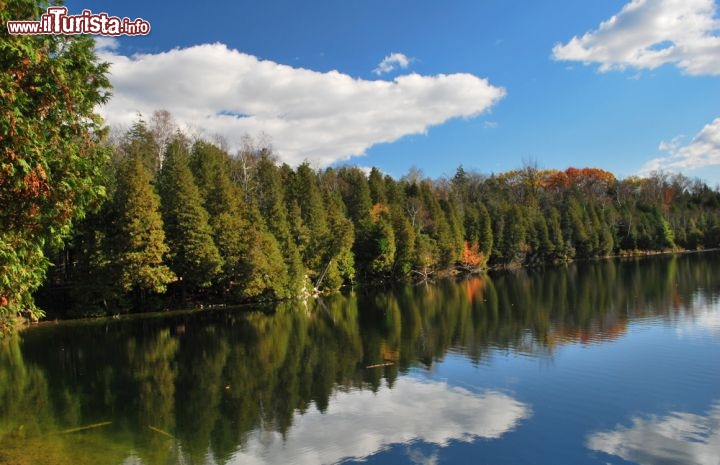 Immagine Mississauga (Ontario, Canada) non è solo un moderno centro finanziario: fuori città il paesaggio selvaggio canadese regala spettacoli straordinari, come quello del vicino lago Crawford, nella Crawford Lake Conservation Area, incorniciato da foreste secolari - © Sorin Nechita / Shutterstock.com