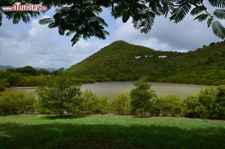 Immagine Conosciuto a Guana come Salt Pond. Questi tipi di laghi sono molto comuni nei Caraibi e spesso sono circondati da mangrovie, tipici alberi che crescono vicini ad acque salate. Questo lago salato è habitat di diversi fenicotteri. - © Guendalina Buzzanca / thegtraveller.com