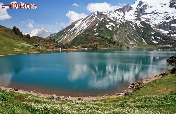 Immagine Panorama sul lago Trubsee, Engelberg - Situato nel cantone svizzero di Obwalden, questo lago di montagna dalle acque limpide e cristilline si trova ai piedi del monte Titlis. Lo si può raggiungere dalla città di Engelberg tramite la funivia ooppure a piedi effettuando una lunga camminata © irakite / Shutterstock.com