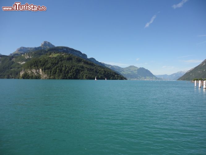 Immagine Lago dei Quattro Cantoni visto dal molo di Brunnen, in Svizzera