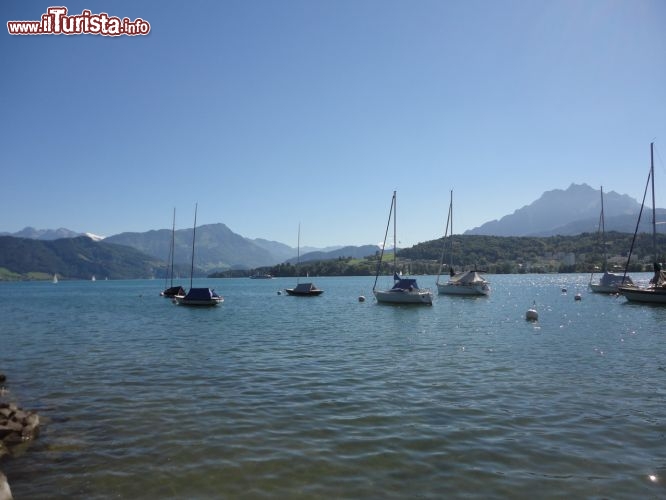 Immagine Lago dei quattro Cantoni: e non provate a chiamarlo Lago di Lucerna!