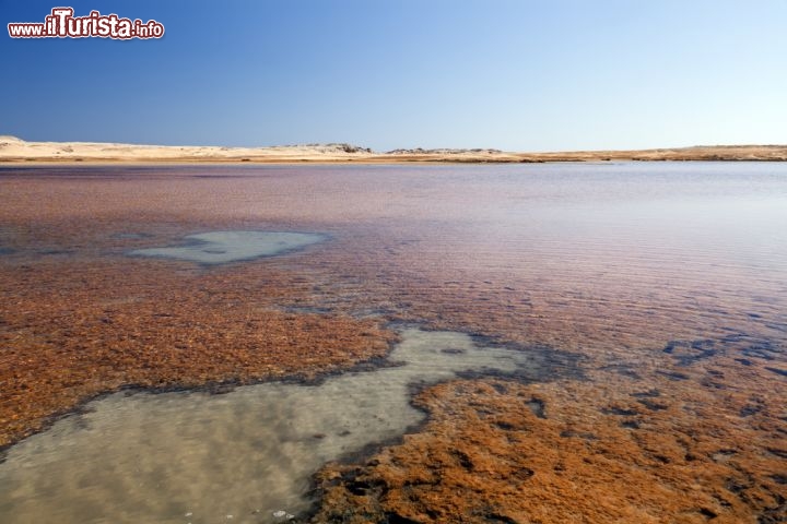 Immagine Il lago salato che si trova all'inzio del Parco di Ras Mohammed nel Sinai, in Egitto - © stephan kerkhofs / Shutterstock.com