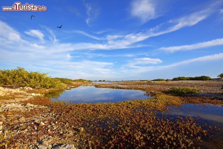 Immagine Un lago salato sull'isola di Bonaire - © Kjersti Joergensen / Shutterstock.com