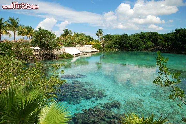 Immagine Una laguna d'acqua dolce a cozumel in Messico: si tratta della Laguna di Chankanaab, nell'omonimo Parco Nazionale. Ci troviamo di fronte alla Rivera Maya, in corrispondenza di Playa del Carmen - © Ramunas Bruzas/ Shutterstock.com