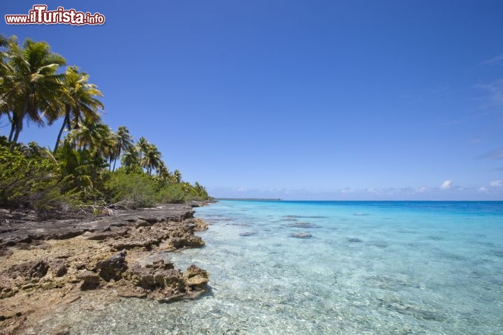 Immagine Le spiagge dell'isola di Réunion (Isole Mascarene, Francia d'oltremare) sono paradisiache e tutte diverse: selvagge o mondane, frastagliate di scogli oppure di sabbia soffice bianca, dorata o nera. Al largo di Saint-Gilles, Saint Leu e Etang Sale la barriera corallina tiene a bada le onde dell'Oceano Indiano e origina piscine naturali limpidissime, dal fondale basso e sicuro - © vladoskan / Shutterstock.com