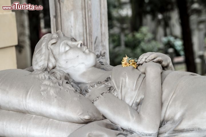 Immagine Lapide in marmo al Cimitero monumentale Campo Verano a Roma - © Andreas Zerndl / Shutterstock.com