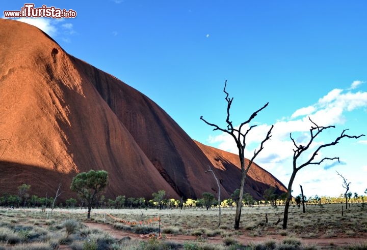 Immagine Il versante sud di Ayers Rock, nel cuore del Red Centre australiano - Uluru non lascia indifferenti: la sua presenza, che si erge dal piatto paesaggio del Northen Territory, è veramente affascinante e contemplandola si comprende il pensiero degli aborigeni, che credevano che la montagna fosse piovuta dal cielo. 