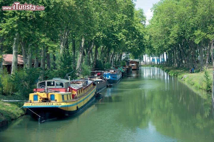 Immagine Le Canal du Midi a Tolosa  - © José Manuel Herrador