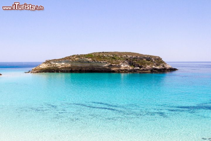 Immagine Le magiche acque turchesi di Lampedusa: Questa dell'isola dei Conigli è sicuramente considerata come una delle più belle spiagge d'Italia. In un recente sondaggio del sito Tripadvisor, questa spiaggia è stata eletta addirittura come la più bella del mondo. La spiaggia dei Conigli si trova lungo la costa sud di Lampedusa, ed è caratterizzata da sabbie bianche, stile caraibi o destinazione tropicale degli oceani indiano e pacifico - © RZ Design / Shutterstock.com