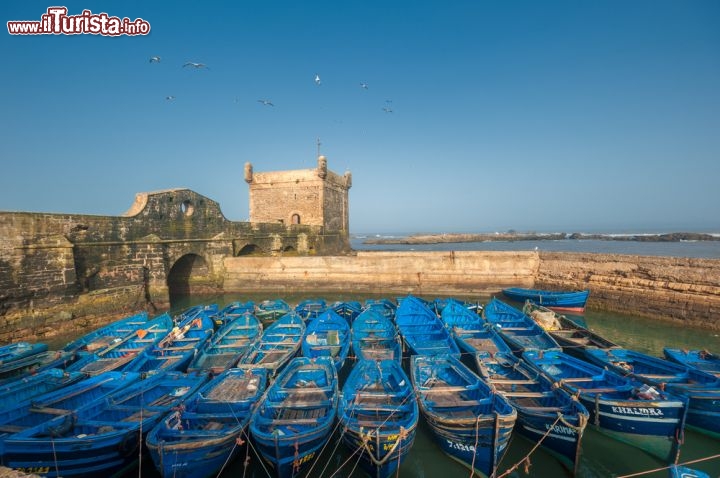 Immagine Porto di Essaouira, Marocco - A ovest di Marrakech sorge Essaouira, piccola fortezza che da sempre riveste il ruolo di importante porto di collegamento fra il Marocco e il resto dell'Africa e dell'Europa. In questa immagine, le caratteristiche barche azzurre ormeggiate dai pescatori che quando rientrano nell'antica Mogador si dedicano alla vendita dell'ottimo pesce appena pescato © javarman / Shutterstock.com