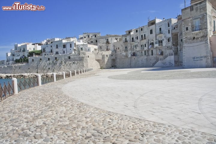 Immagine Le case bianche di Vieste, uno dei borghi più belli del Gargano, sul versante adriatico della Puglia - © Quanthem / Shutterstock.com