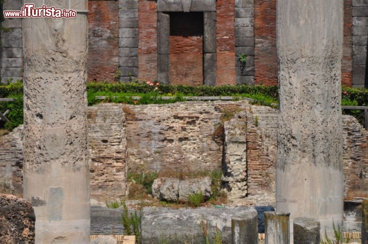 Immagine Le colonne del Tempio del Serapide, con i segni del mare e dei mitili