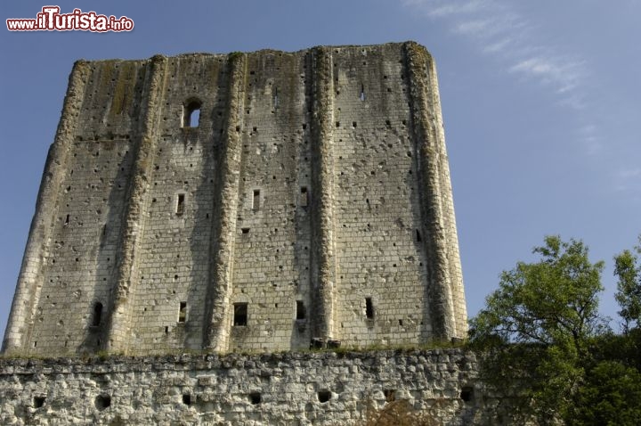 Immagine Le forme austere del Castello di Loches in Francia. L'annessa cittadella è considerata una delle più belle della Francia - © Pack-Shot / Shutterstock.com