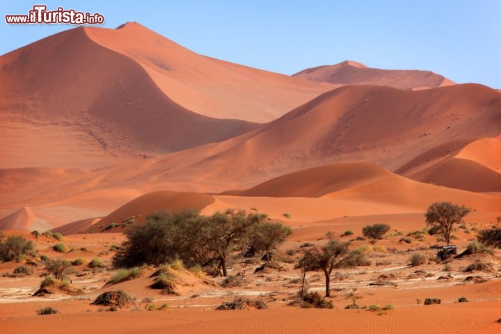 Immagine Le grandi dune rosse che si possono ammirare del deserto della Namibia, nell'Africa sud-occidentale - © Dietmar Temps/ Shutterstock.com