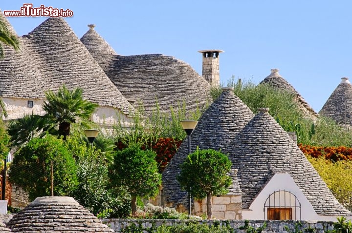 Immagine Le magiche geometrie dei Trulli di Alberobello inPuglia - © LianeM / Shutterstock.com