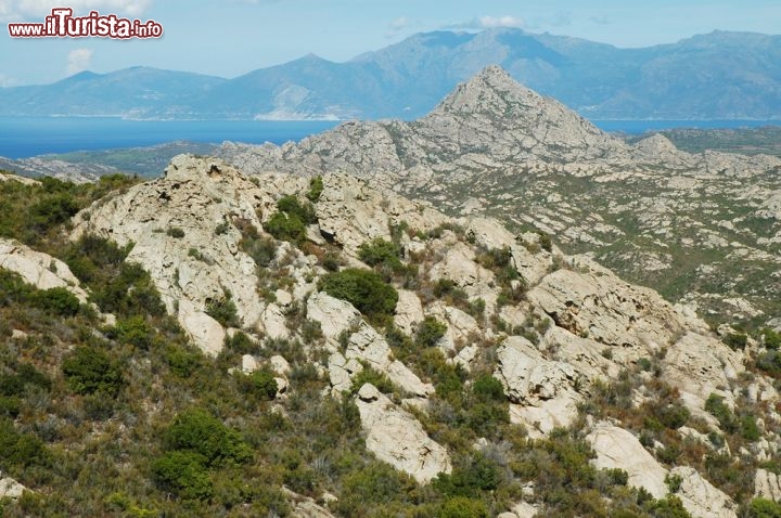 Immagine Le montagne del Desert des Agriates, Corsica - le montagne brulle del Desert des Agriates, coperte da una vegetazione di macchia mediterranea bassa tipica della Corsica, sono senza dubbio luoghi piuttosto impervi e difficili da percorrere, ma celano un magnifico mare e spiagge da sogno. - © salajean / Shutterstock.co
