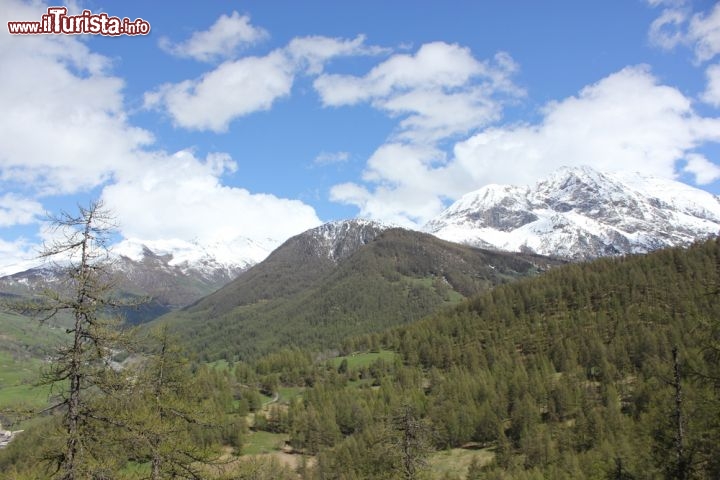 Immagine Le montagne di Cesana Torinese in estate si prestano ad attività di trekking oltre che consentire la pratica di sport dinamici come parapendio,  canyoning ed hydrospeed - © Yoann MORIN / Shutterstock.com