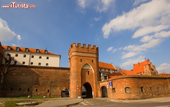 Immagine Le mura e la porta d'accesso al centro storico di Turonia, in Polonia - © Neirfy / Shutterstock.com