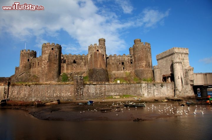 Immagine Le imponenti rovine medievali del Convy Castle nel Galles del nord - © Gail Johnson / Shutterstock.com