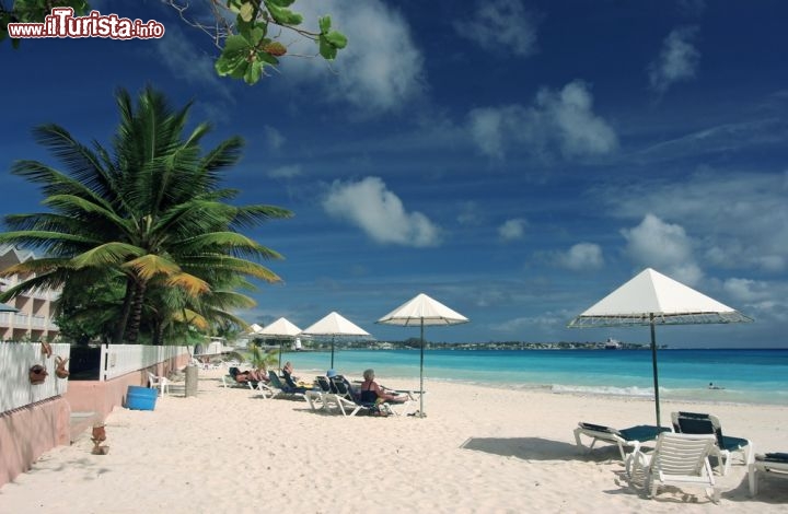 Immagine Le sabbie bianche delle spiagge di Bridgetown: siamo ai Caraibi nella capitale di Barbados - © graham tomlin / Shutterstock.com