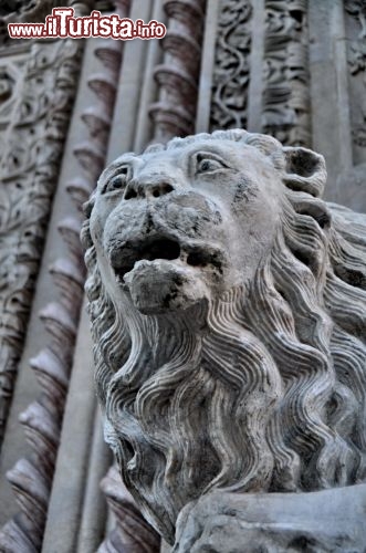 Immagine Il Leone all'Ingresso del Palazzo dei Priori. E' uno dei simboli di Perugia