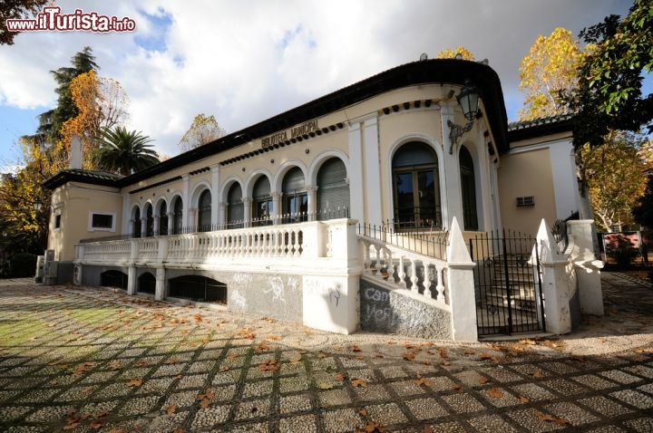 Immagine Libreria a Granada Andalusia in Spagna - © javi_indy / Shutterstock.com