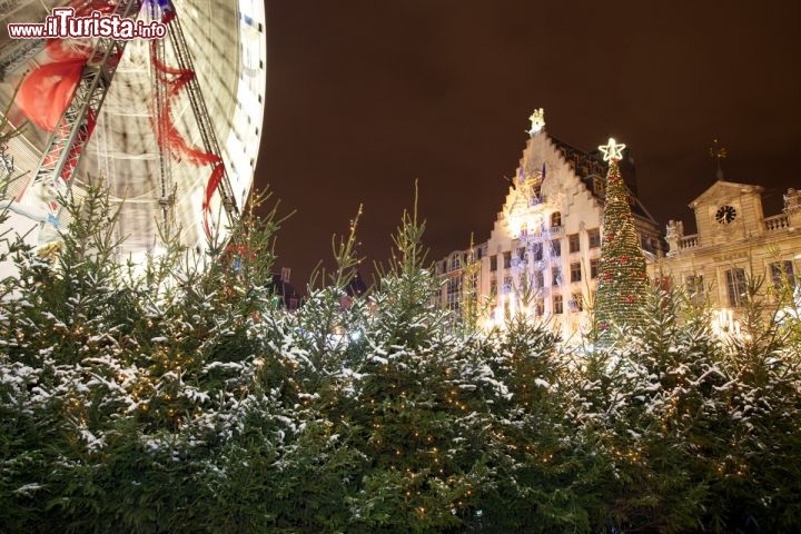 Immagine Lille durante il natale: i mercatini di Natale, Francia. Alberi di Natale, luninarie e i tradizionali mercatini caratterizzano il periodo dell'Avvento a Lille - OT Lille / © Laurent Ghesquière