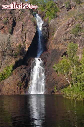 Immagine Litchfield: Wangi falls, Australia