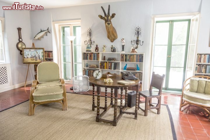 Immagine Lo studio di Ernest Hemingway a Key West, Florida - La vecchia abitazione in stile coloniale dello scrittore Ernst Hemingway ospita un curioso museo aperto al pubblico. Situato al 907 di Whitehead Street, nel cuore storico di Key West, in questo bell'edificio immerso fra giardini lussureggianti il premio Nobel per la letteratura ha trascorso dieci anni, periodo fra i più importanti e proficui dal punto di vista lavorativo. Costruita nel 1851, la dimora divenne abitazione di Hemingway nel 1930: al suo interno sono ancora conservati antichi mobili (fra cui lo studio) e oggetti utilizzati dalla sua famiglia. Anche i gatti che vivono negli splendidi giardini di quello che ora è il museo dedicato allo scrittore sono discendenti di quelli vissuti all'epoca di Ernst © Jorg Hackemann / Shutterstock.com