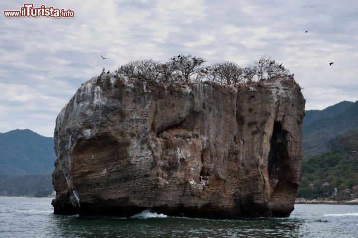 Immagine Los Arcos, Puerto Vallarta: il Parque Nacional Los Arcos è una delle principali attrazioni di Vallarta. I faraglioni e le isolette che sorgono proprio di fronte alla spiaggia di Mismaloya richiamano frotte di turisti ed amanti delle immersioni subacquee - © UgputuLf SS / Shutterstock.com