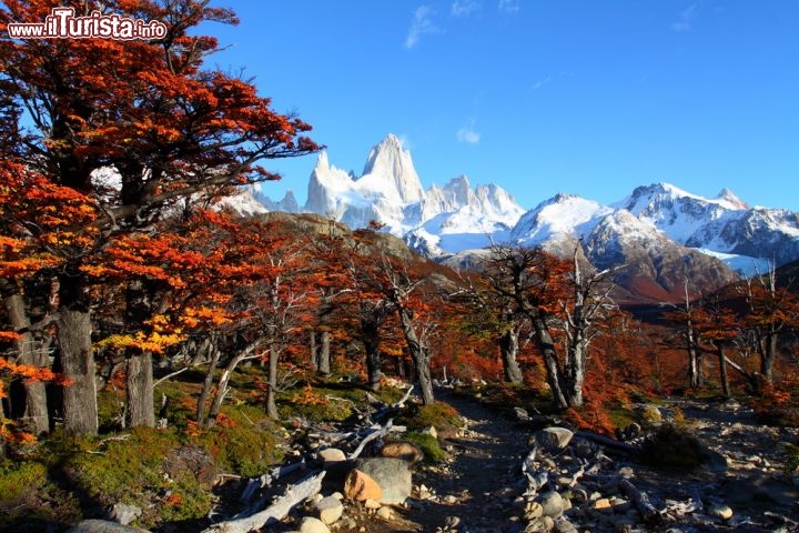 Immagine Los Glaciares National Park, sullo sfondo il Monte Fitzroy. Il parco si raggiunge dalla località di El Calafate in Argentina. Queste cime granitiche, come ad esempio quella del Cerro Torre, sono considerate tra le vette più tecniche in assoluto, ed anche se le cime non sono particolarmente elevate, le scalate sono rese difficili dalle situazioni meteorologiche molto variabili, spesso anche estreme - © Curioso / Shutterstock.com