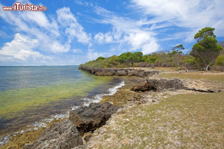 Immagine Mafia (Tanzania) è famosa per le sue spiagge e il mare limpido - © Kjersti Joergensen / Shutterstock.com