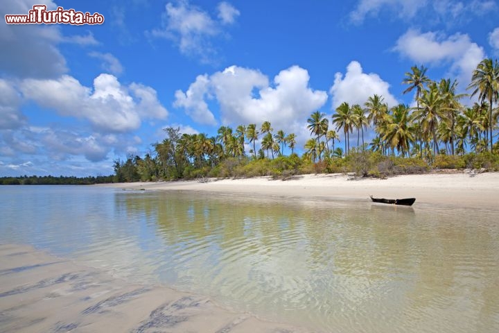 Immagine Mafia beach palme litorale isola Tanzania Africa - © Kjersti Joergensen / Shutterstock.com