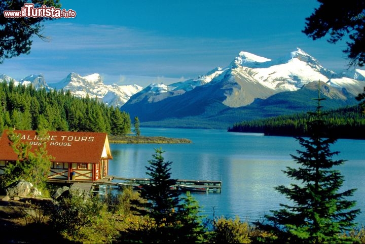 Immagine Maligne Lake Jasper National Park Alberta Canada - Foto di Giulio Badini