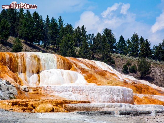 Immagine Mammoth Hot Springs: nella parte nord dello Yellowstone National Park si trovano questi grossi depositi colorati di travertino - © Kenneth Keifer / Shutterstock.com