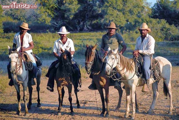 Immagine Mandriani a cavallo nei Llanos del Venezuela - Foto di Giulio Badini