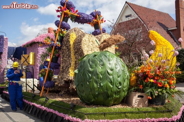 Immagine La Flower Parade a Lisse: questa manifestazione floreale consiste in una parata di coloratissimi carri, ricolmi di fiori, che percorrono il 42 km che separano Noordwijk con Haarlem. Da non perdere! - © artjazz / Shutterstock.com