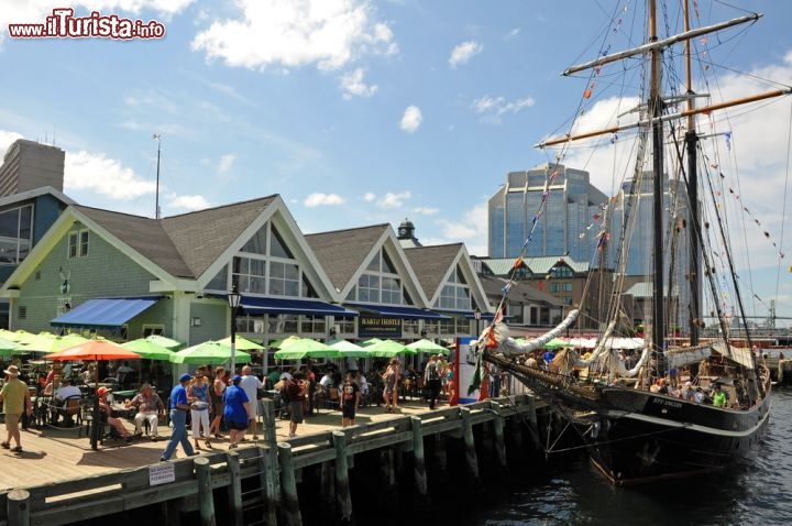 Immagine Una manifestazione navale ad Halifax - Nuova Scozia, Canada - durante il Tall Ships Festival. E' il mese di luglio e siamo all'interno dell'Halifax Harbour, un porto vivace costeggiato da moli ed edifici tradizionali in legno, negozi, locali e ristoranti. In occasione del festival vi si riversano decine di migliaia di turisti - © Paul McKinnon / Shutterstock.com