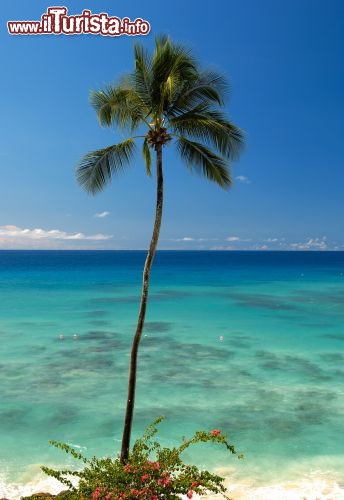 Immagine Il mare cristallino di Cobblers Cove, sulla punta di nord-ovest a  Barbados - Fonte: Barbados Tourism Authority