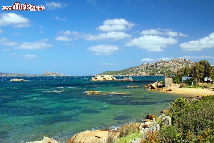 Immagine Il mare della Costa Smeralda, nel nord della Sardegna, è una tavolozza strabiliante di azzurri e di blu, verdi intensi e turchesi. Nel tratto costiero di Palau, piccolo comune in provincia di Olbia-Tempio, si alternano le spiagge sabbiose e le scogliere di roccia granitica, orlate di pini marittimi, olivastri, ginestre, piante di mirto, rosmarino e altri arbusti profumatissimi - © Pecold / Shutterstock.com