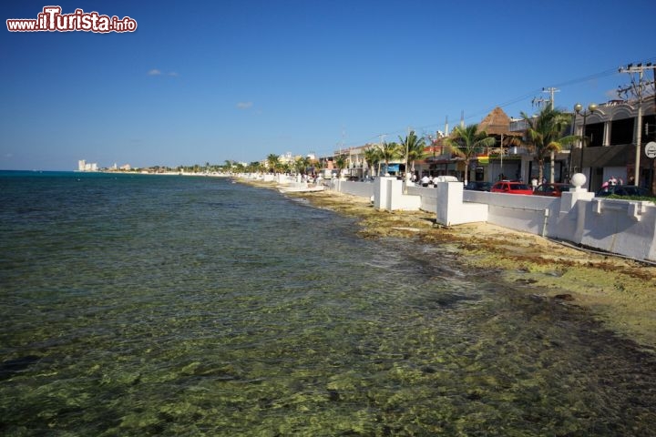 Immagine Il mare di Cozumel: la costa occidentale dell'isola è riparata dai venti e quindi possiede un mare mediamente più calmo rispetto al lato orientale di Cozumel. Sull'isola si trovano alcune tra le spiagge migliori della Riviera Maya del Messico - © orachat Sodsri / Shutterstock.com