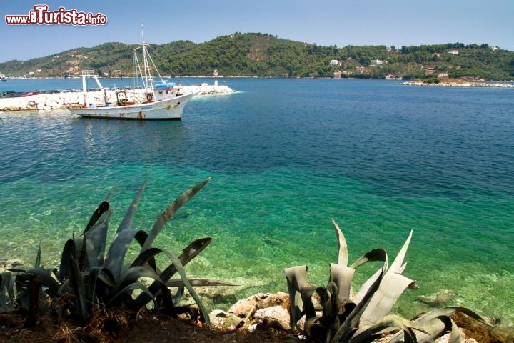 Immagine Il mare limpido delle Sporadi settentrionali: l'isola di Skiathos, famosa per le sue spiagge tra le migliori della Grecia - © Piotr Tomicki / Shutterstock.com