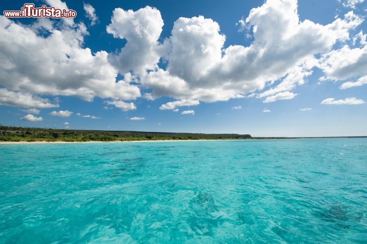 Immagine Mare perfetto per snorkeling ed immersioni a Barahona, lungo la penisola più occidentale della costa sud della Repubblica Dominicana - © Dominican Repubblic Ministry of Tourism