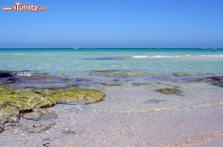 Immagine Mare limpido e spiaggia solitaria a Djerba in Tunisia. D'estate il mare raggiunge valori di temperatura di 27-28 °C ed è quindi uno dei luoghi , tra quelli vicini all'Italia, migliori per la balneazione ed una vacanza relax tra acque cristalline. Inoltre d'estate non piove quasi mai e le giornate serene rappresentano il clima abituale di tutta la regione di Medenine, con le brezze pomeridiane che garantiscono temperature accettabbili, anche nei periodi più torridi - © M.M. / Shutterstock.com