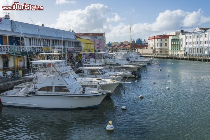 Immagine La marina di Bridgetown a Barbados - © Philip Willcocks / Shutterstock.com