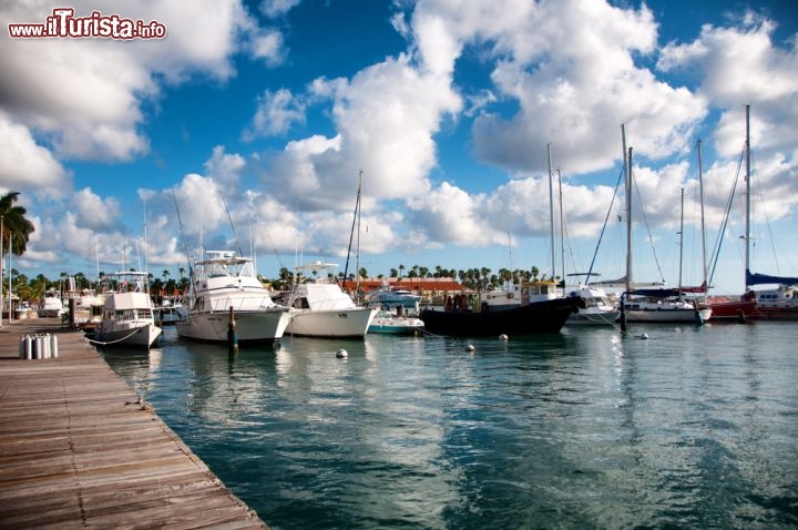 Immagine Marina di Oranjestad Aruba - © PlusONE / Shutterstock.com