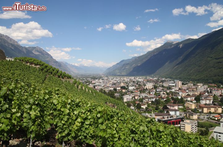 Immagine Martigny la valle del Rodano e i vigneti del Vallese in Svizzera